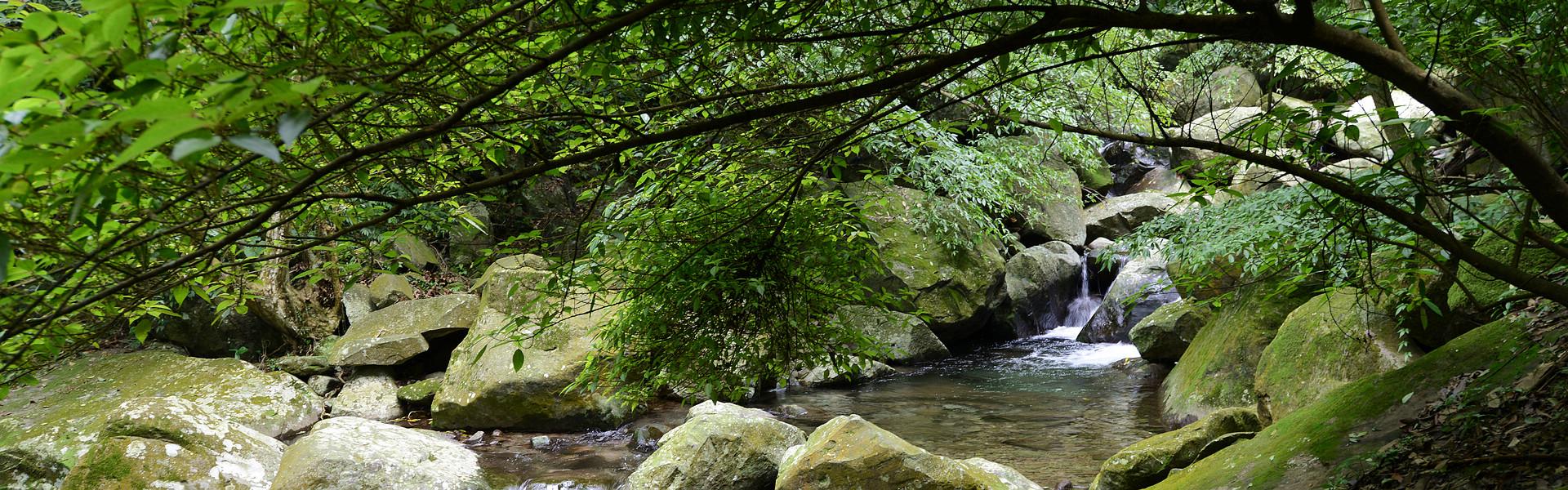 炎炎夏日踩水去！5處清涼瀑布精選