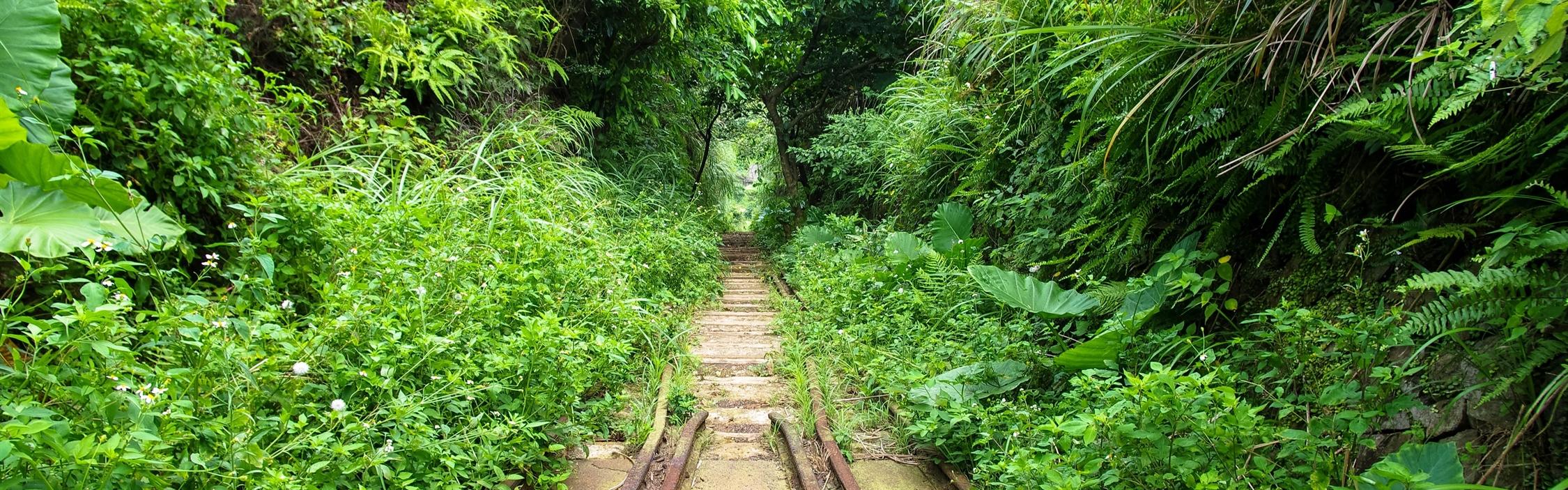 新北瑞芳・斜坡索道｜探索採礦遺跡，來一趟懷舊之旅