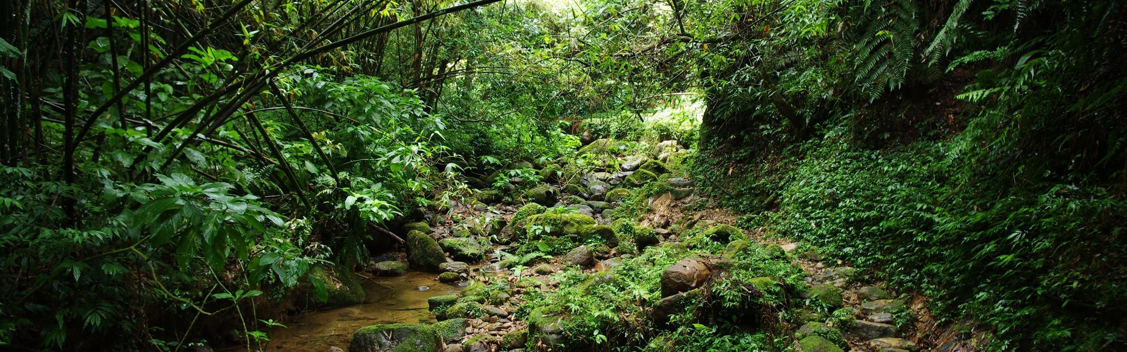 新北平溪・東勢格越嶺古道｜伴著瓜寮坑溪的淙淙水聲，走訪舊礦場遺跡