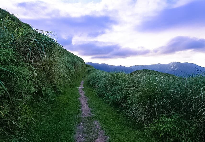 陽明山・金包里大路｜登山也可以很人文，走一趟充滿故事的歷史古道