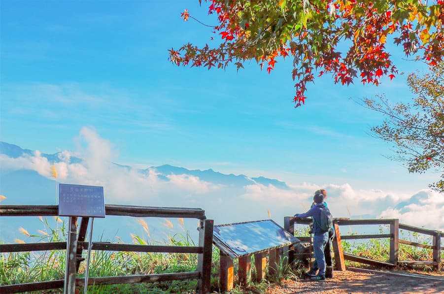 苗栗．馬那邦山｜北台灣賞楓聖地，登上山頂欣賞雪山聖稜線