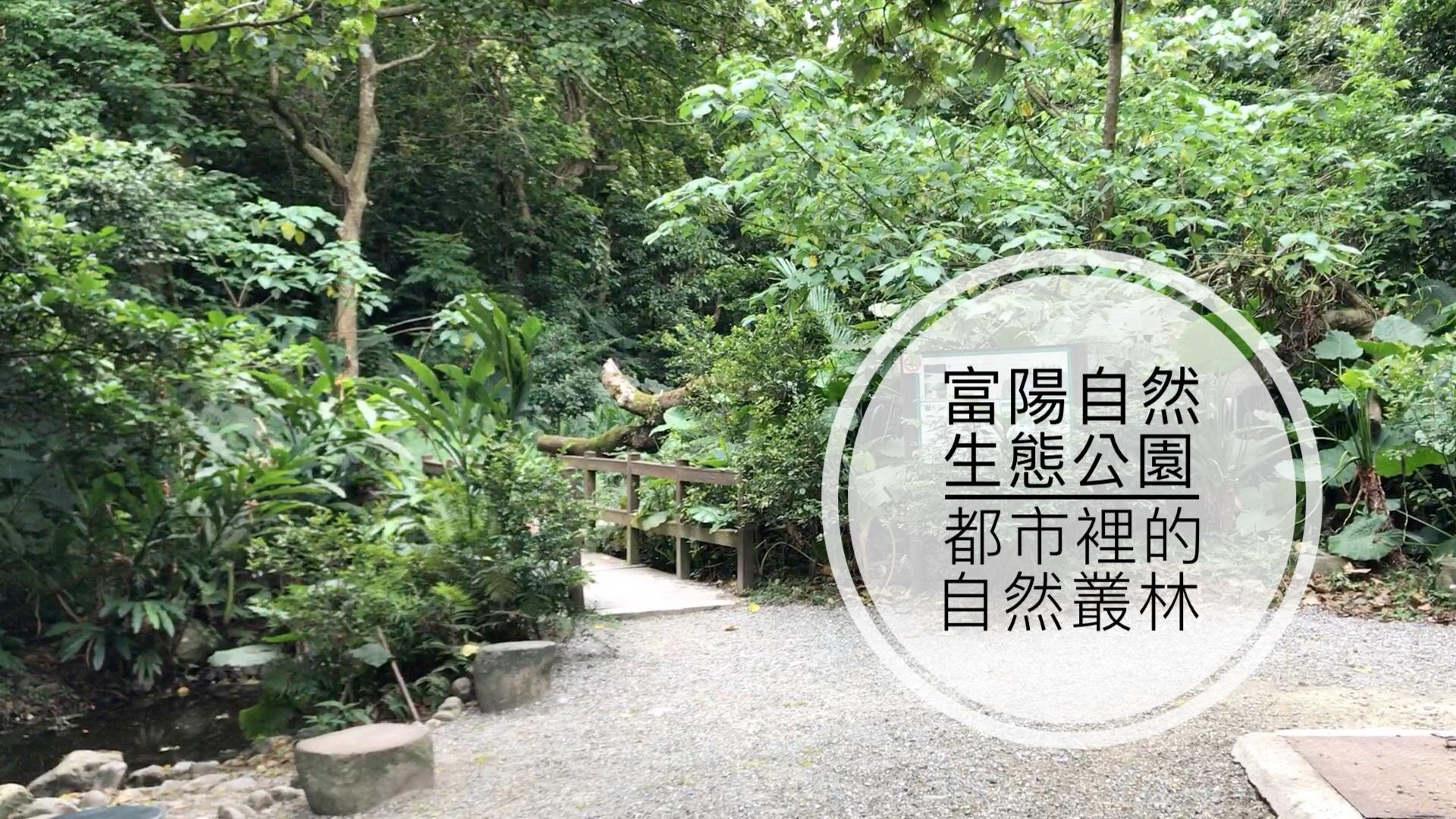 【富陽自然生態公園 】天然的自然教室  都市裡的自然叢林