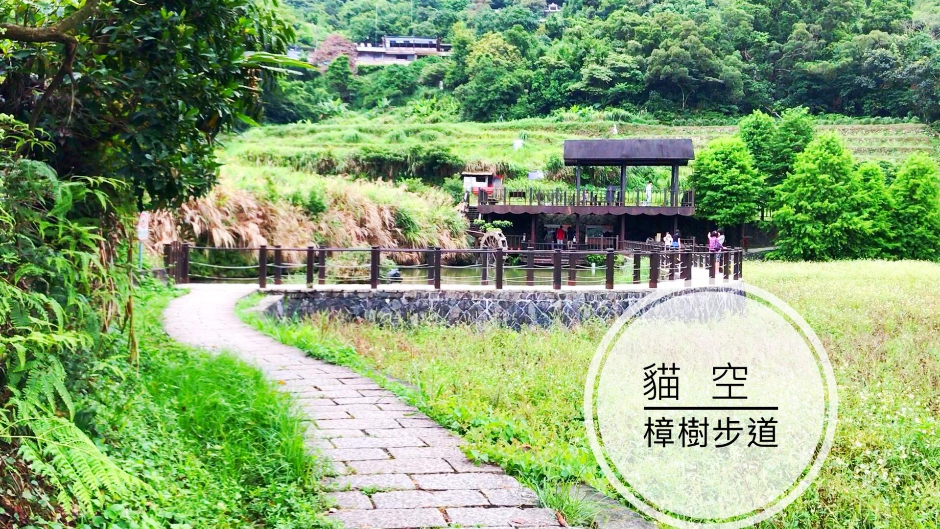 親子悠哉漫遊的午後：樟樹步道、貓空纜車、親山步道、台北夜景。