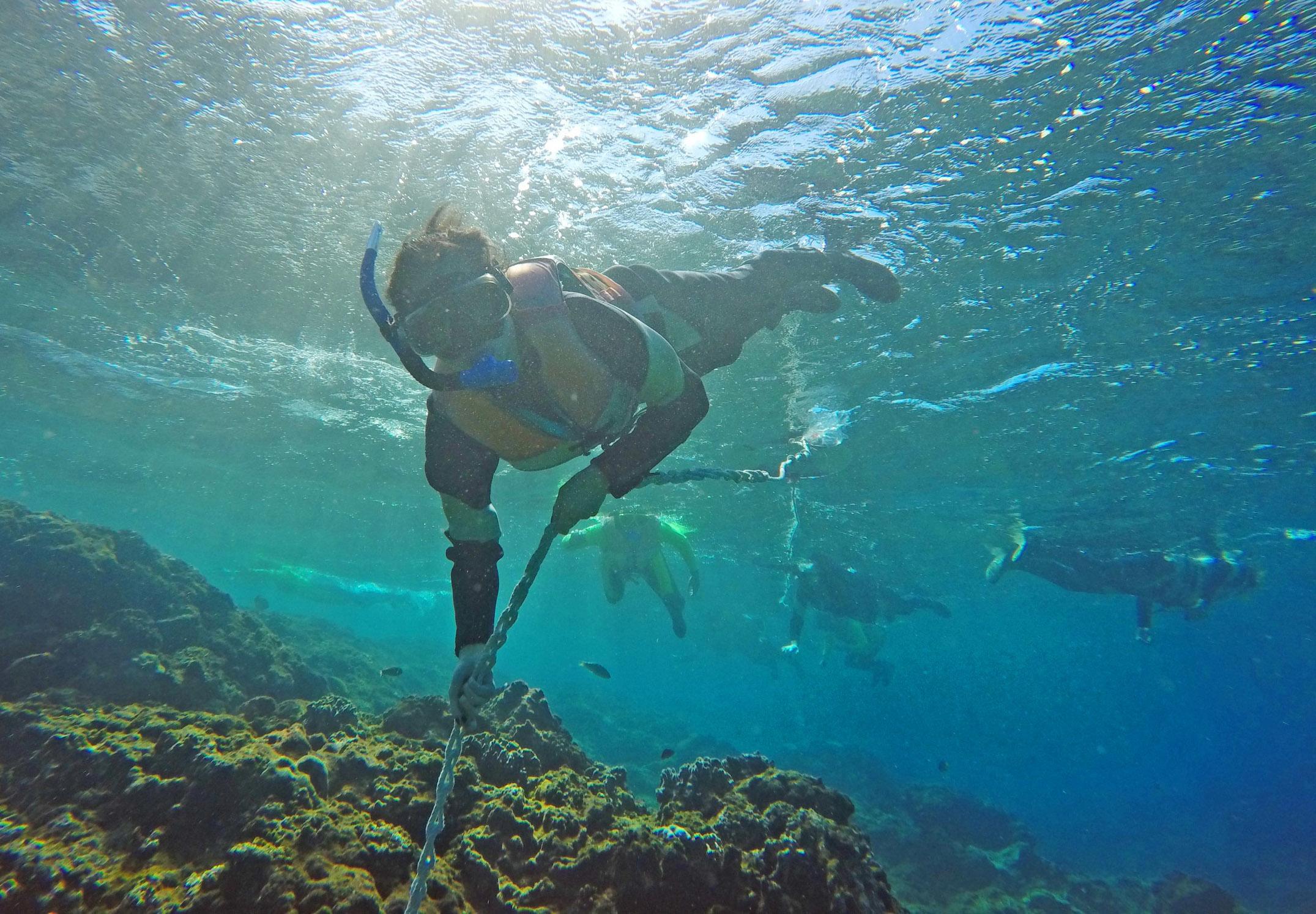 「綠島」的湛藍清澈：潛入能見度 50 米的海中，珊瑚礁與魚群作伴