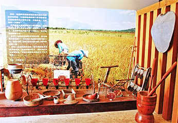 台東觀光「金色豐收館」：結合農事體驗與米食文化之稻米觀光工廠，親子共遊的好去處。