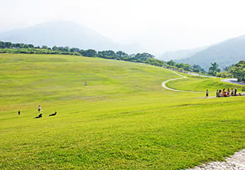 台東鹿野高台：特殊地理優勢，將東部美麗的茶區村落變身成熱氣球、飛行傘聖地