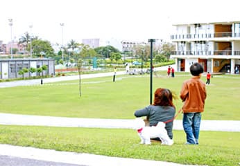 台東「東海運動公園」：太平溪與大草皮相倚的美麗活動場所，親子嬉遊、民眾運動絕佳選擇