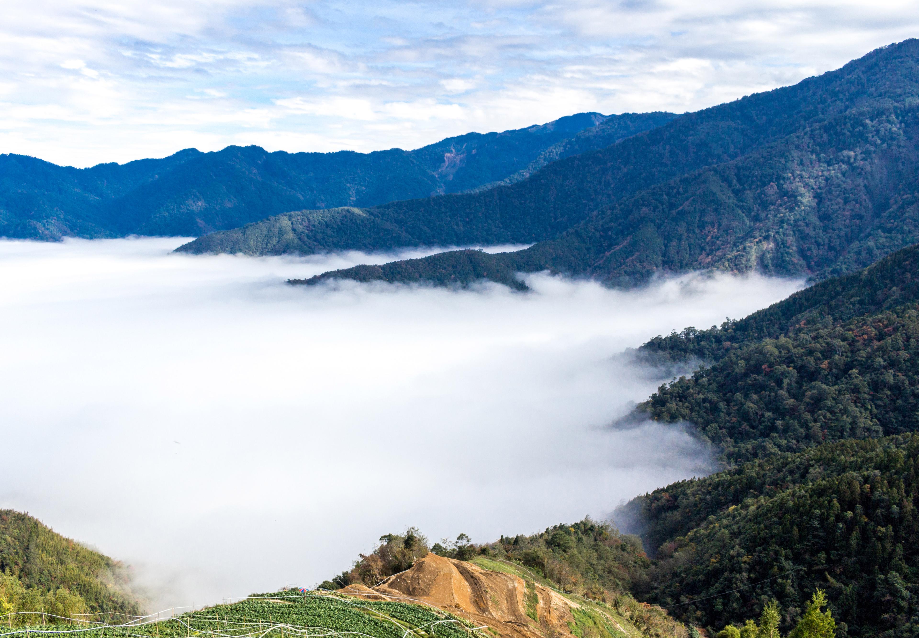 如何申請入山證、登山許可，流程簡化差在哪？（附「臺灣登山申請一站式服務網」操作教學）