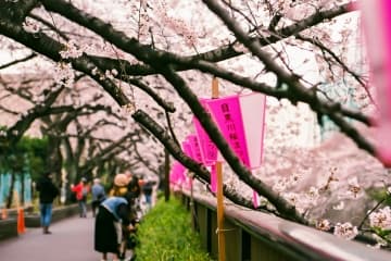 2020 日本自由行「入境卡」、「海關申告書」怎麼寫？同場加映「海關電子申報」教學！