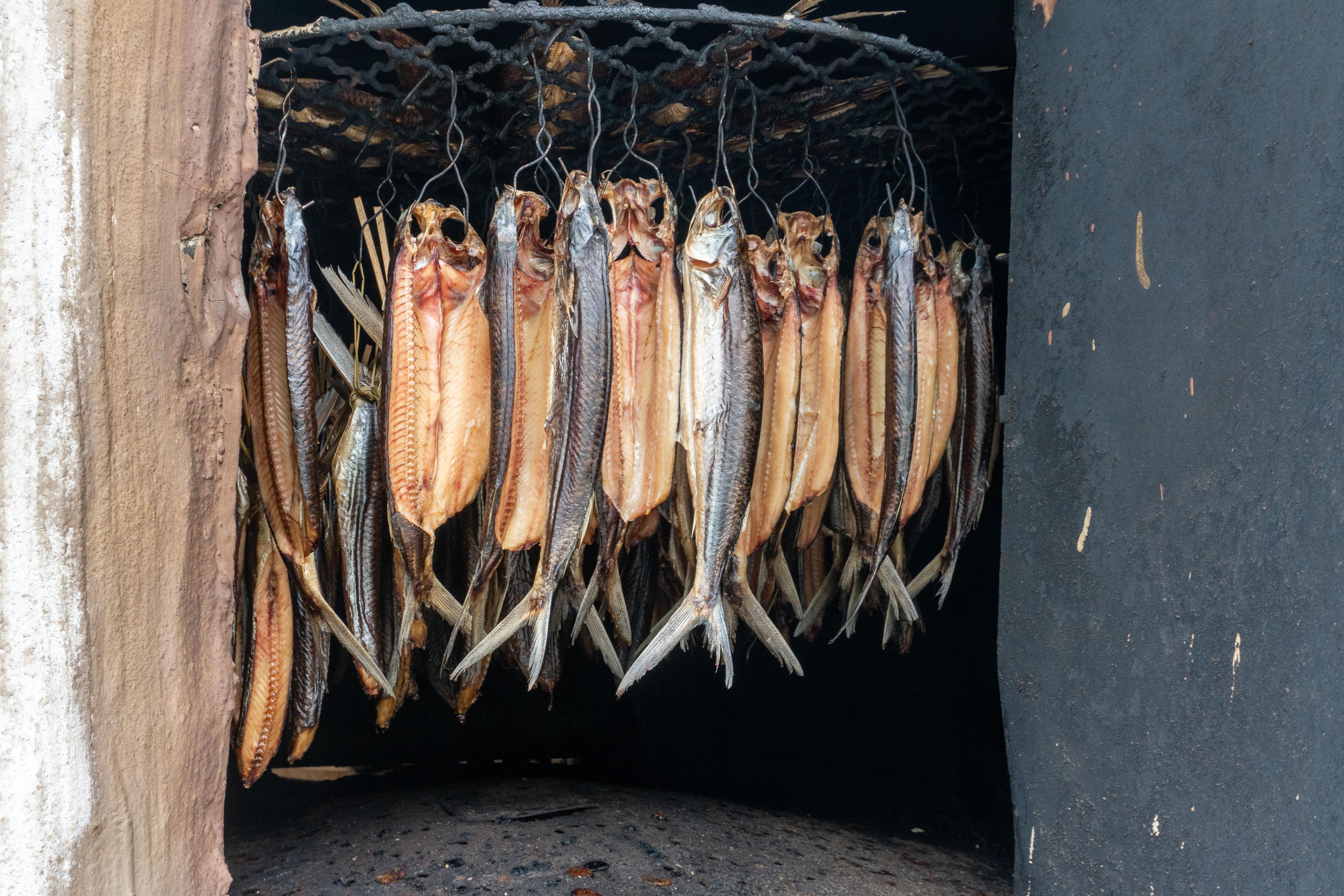 花蓮豐濱特色無菜單料理餐廳「尬金包廚房」：煙燻飛魚、飛魚卵香腸、獨特風味尬金包，還有更多！