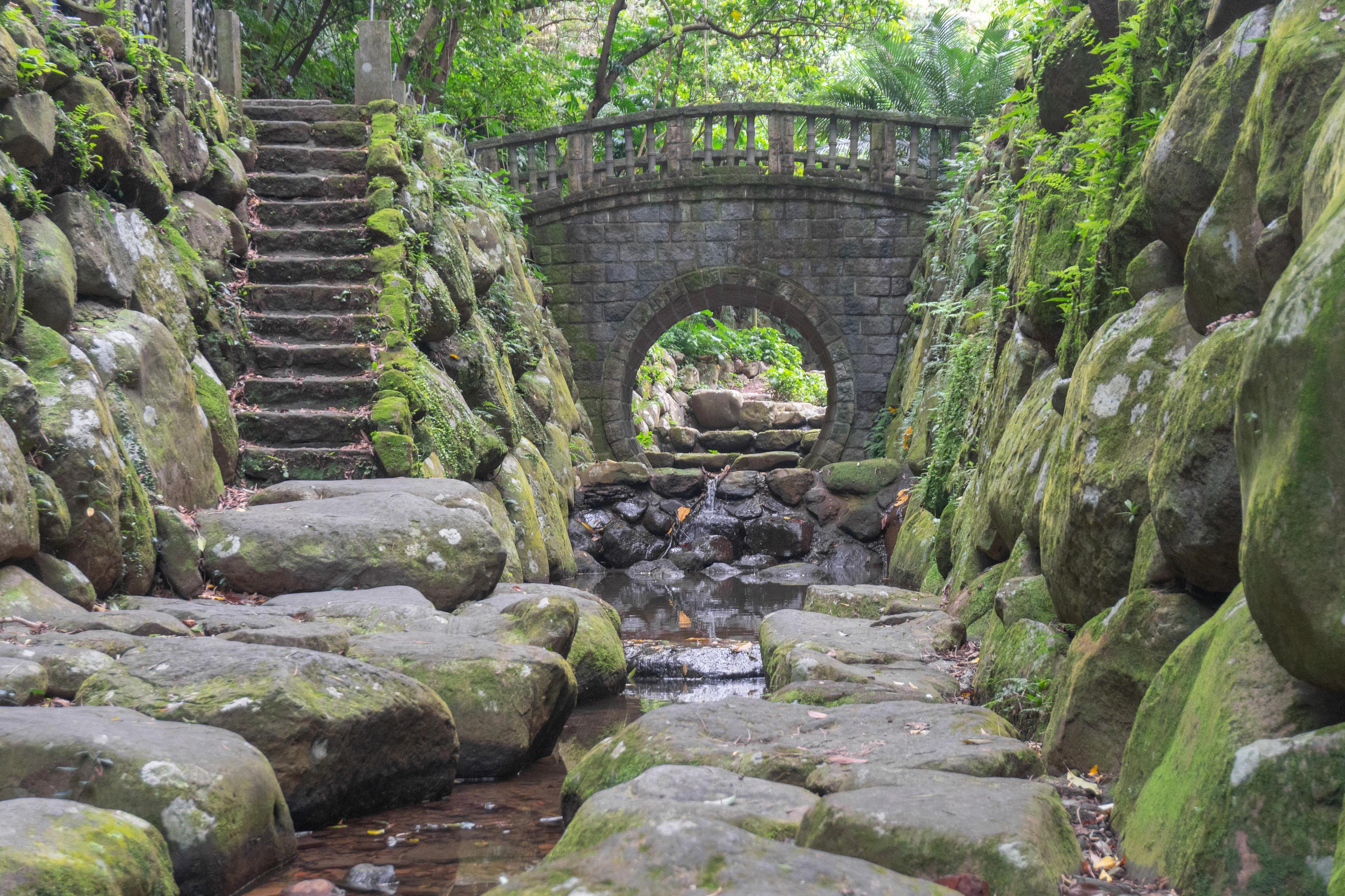 漫步溪畔山林，螢火蟲飛舞的「虎山溪步道」：適合親子出遊，林蔭間的打卡秘境