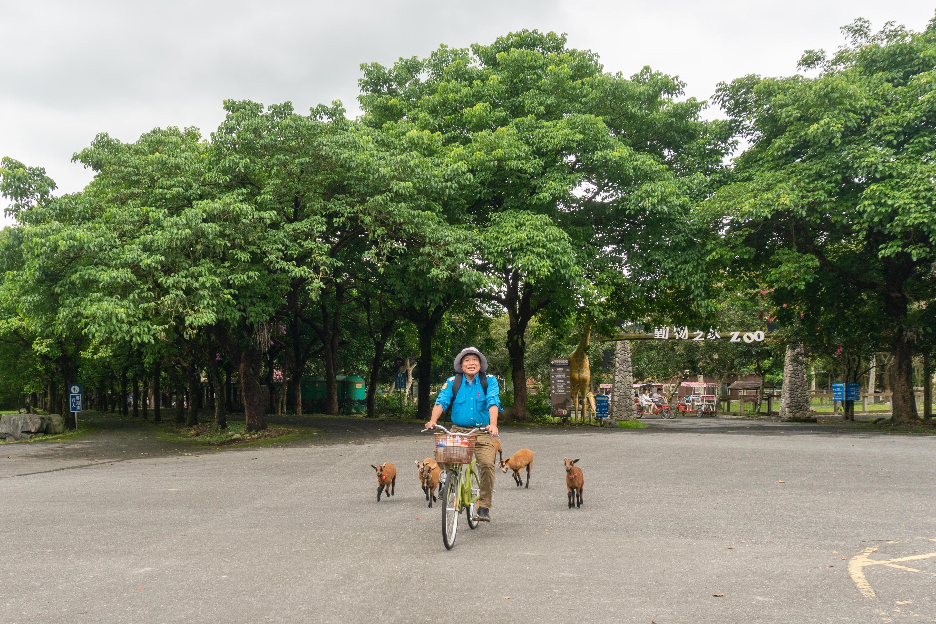 花蓮・新光兆豐休閒農場｜倘佯自然農場風光、與超萌動物們近距離互動（下）