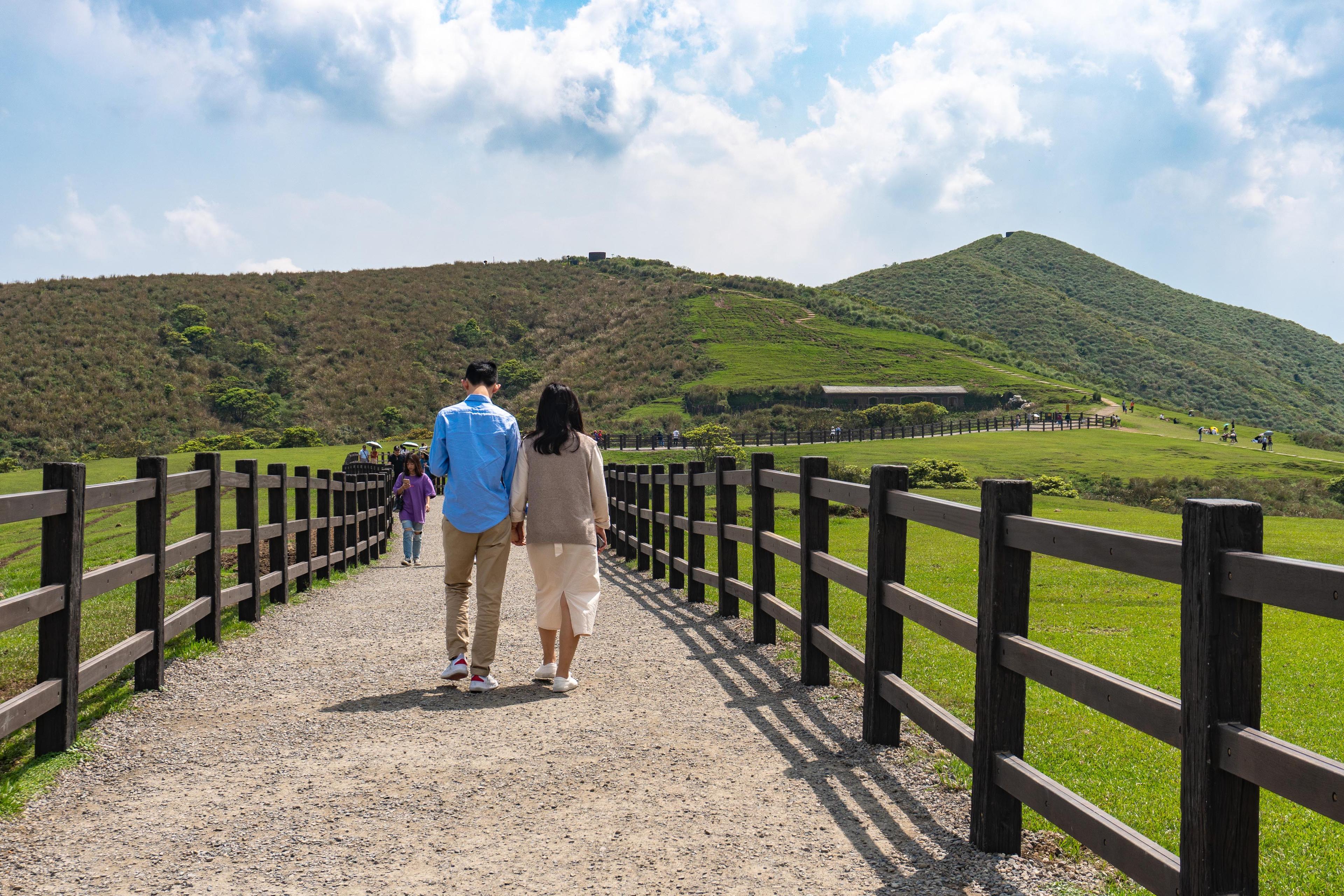 陽明山・擎天崗環形步道｜景遠心自闊，草原踏青野趣多