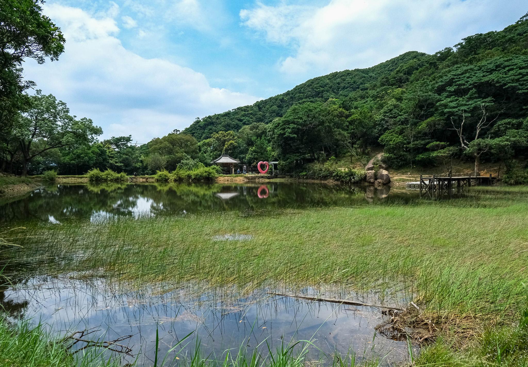 新北汐止・新山夢湖｜如靜謐山中的一片碧玉，極短程夢幻環湖步道