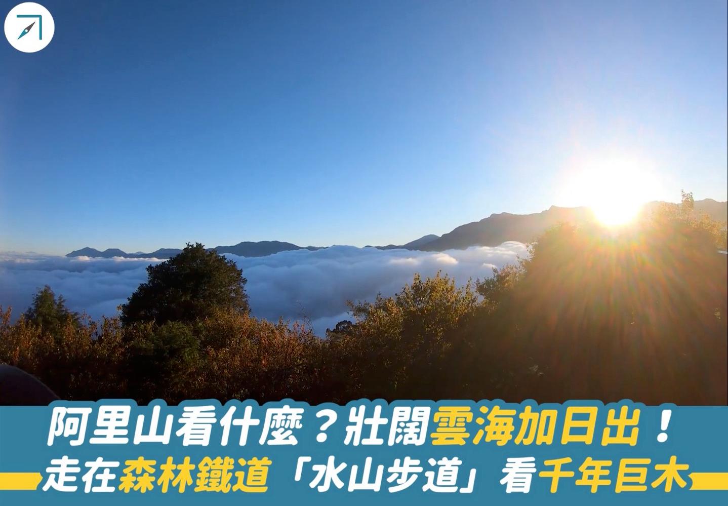 阿里山看什麽？壯闊雲海加日出！走在森林鐵道「水山步道」看千年巨木（影片）