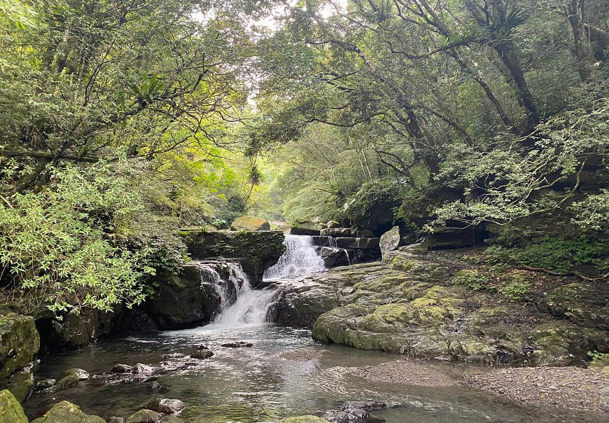 三峽．滿月圓國家森林遊樂區｜瀑布天堂，台灣最美的低海拔楓紅森林