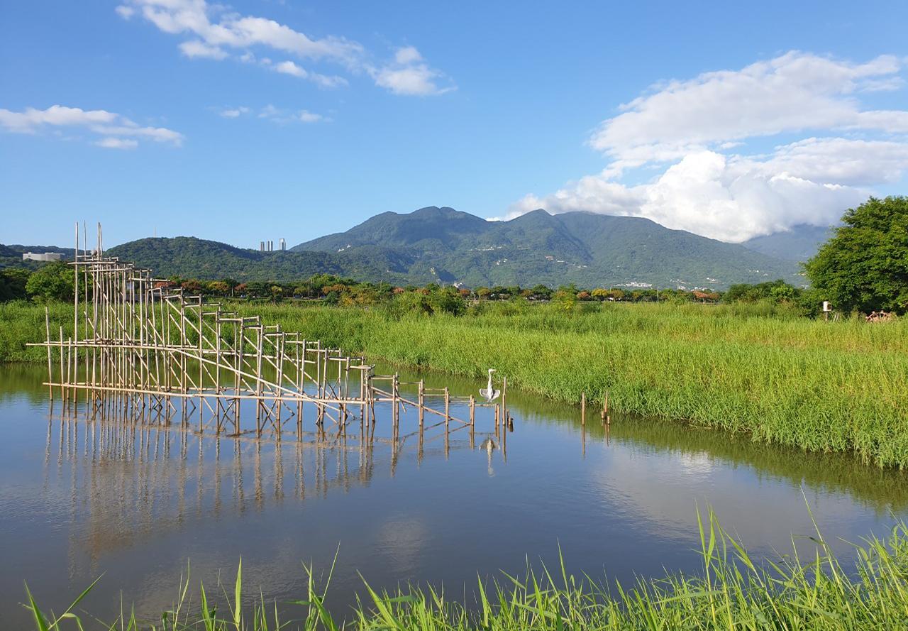 台北・關渡自然公園｜台北市內最大濕地淨土，北台灣的賞鳥天堂