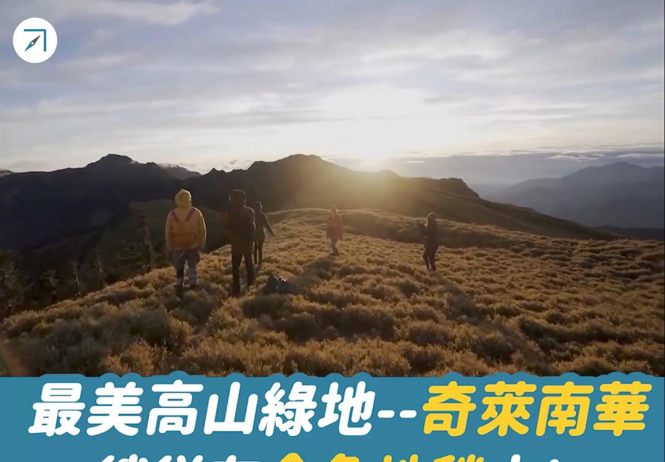 雲海、峭壁、黃金大草原！最美高山綠地「奇萊南華」——徜徉在金色地毯中！（影片）