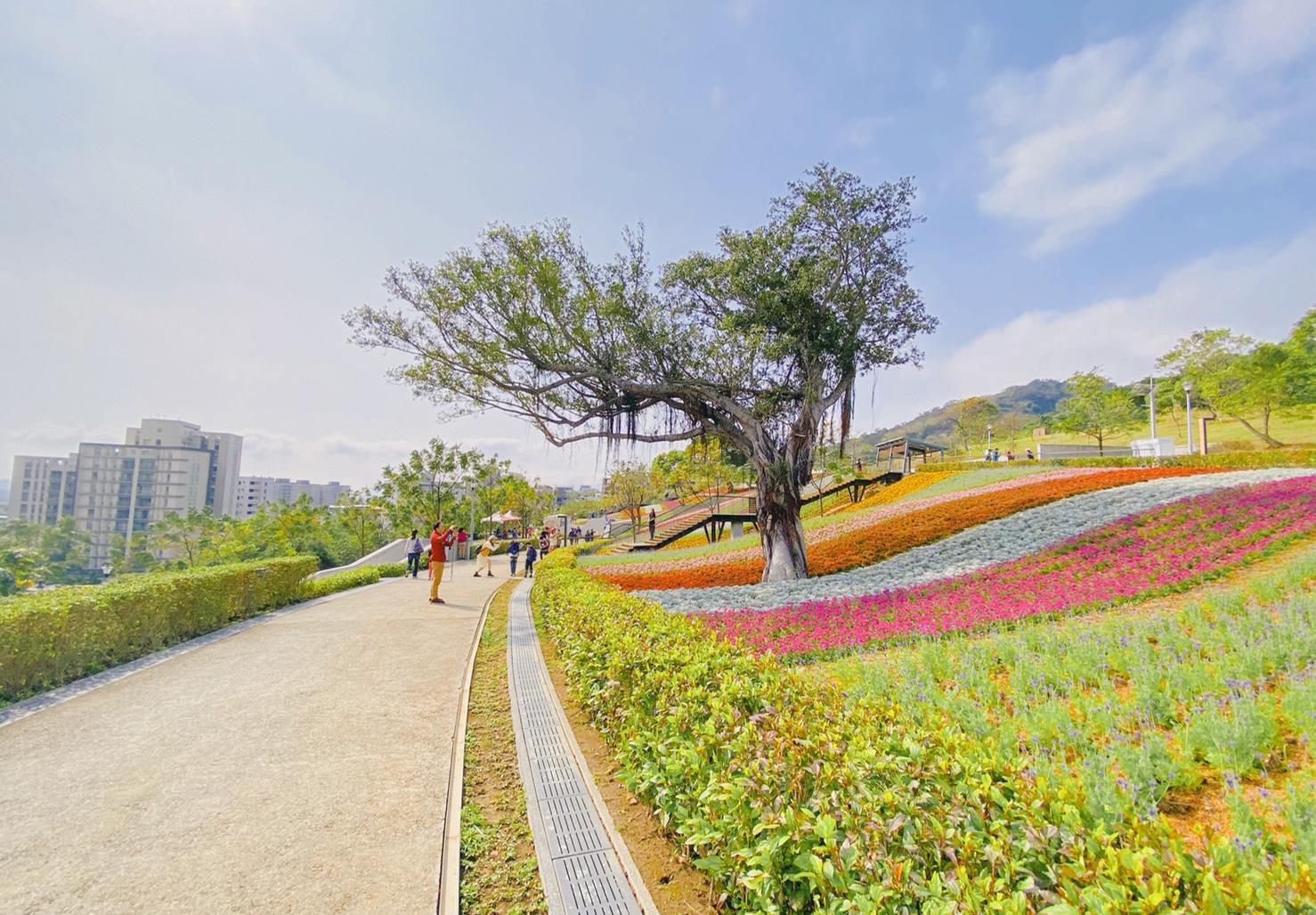 台北・北投｜芬芳乍吐花海現－－北投社三層崎公園＆貴子坑水土保持教學園區