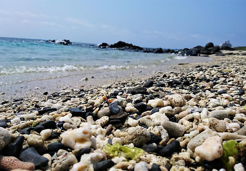 海底也能看薰衣草？澎湖、澎湖南方四島浮潛潛水，8 種你惋惜沒早點發現的水上玩法！