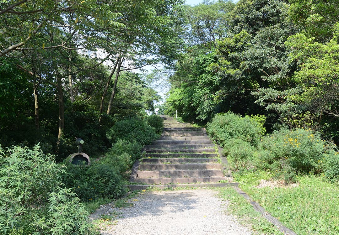 新北新店・二叭子植物園｜認識豐富生態，雙城步道還可以賞桐花