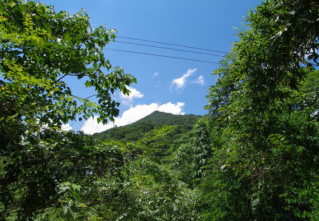 新北平溪・薯榔尖步道｜平溪三尖之第一尖，又名平溪富士山