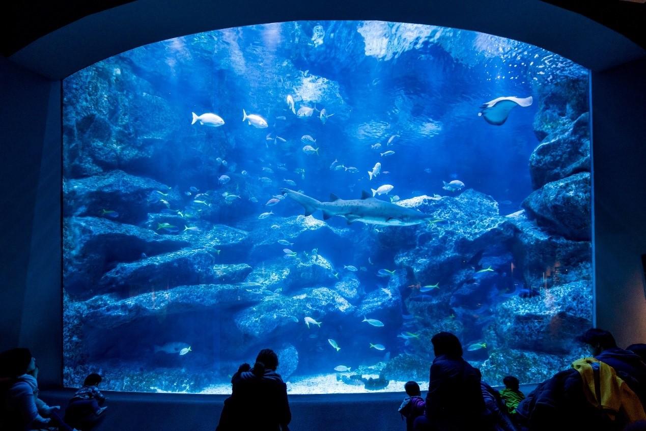 墨田水族館