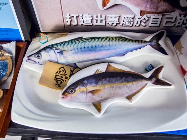 一隻青花魚一隻我不知道什麼魚