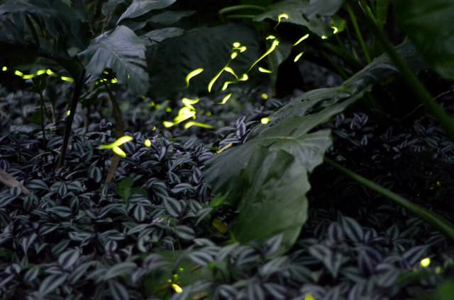 Photo Credit：徐珩閔