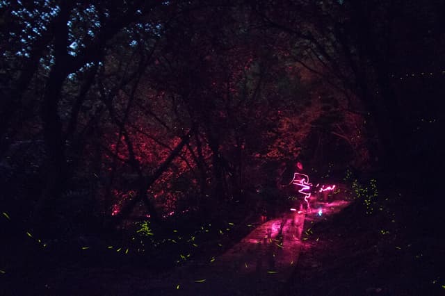 魔幻手電筒紅光你看有多亮！