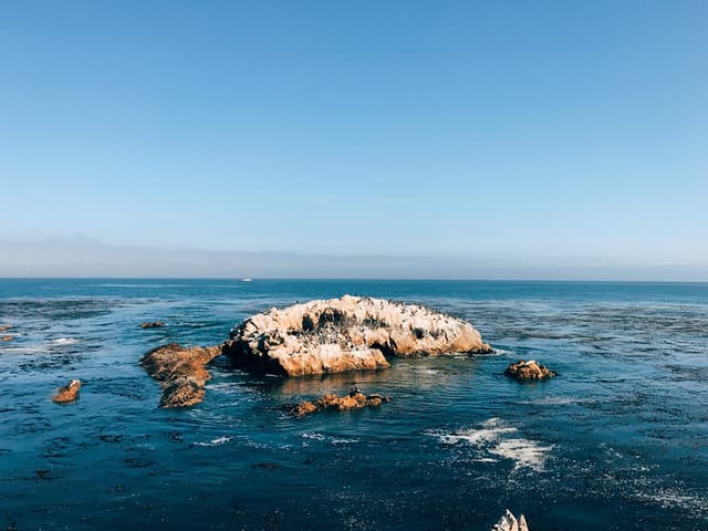 小岩石上！！有海豹喔。