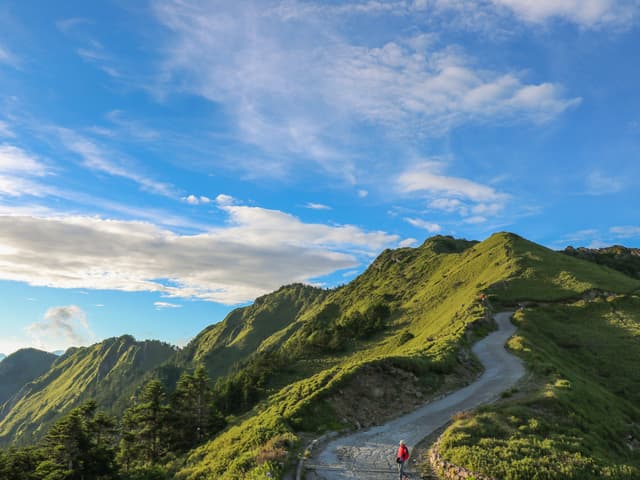 緩緩向上的高山小徑