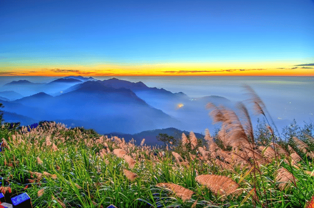 阿里山