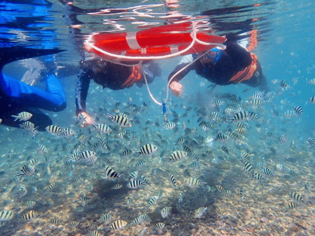 龍洞灣海洋公園浮潛