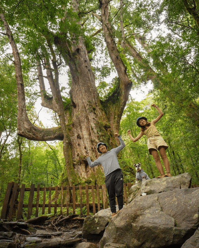 新竹霞喀羅古道周邊景點-司馬庫斯