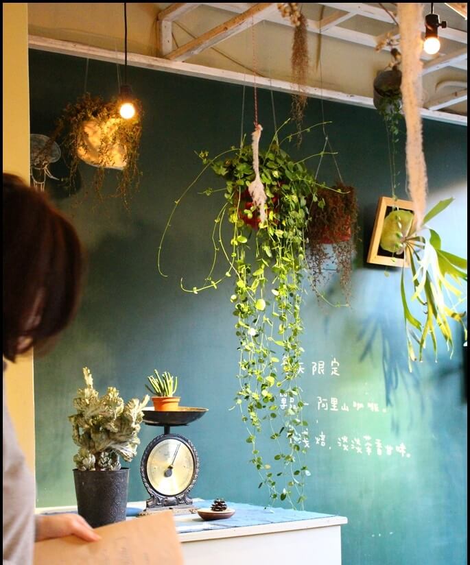 喜歡這一方黑板，跟那些或垂掛或擺放在桌上的植物