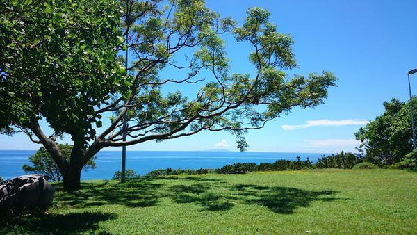 遊客中心外的大草皮，晴天的時候可以清楚看見綠島的身影。