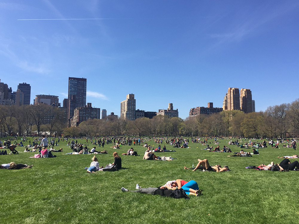 週末的中央公園，紐約人很喜歡來這邊曬太陽發呆。
