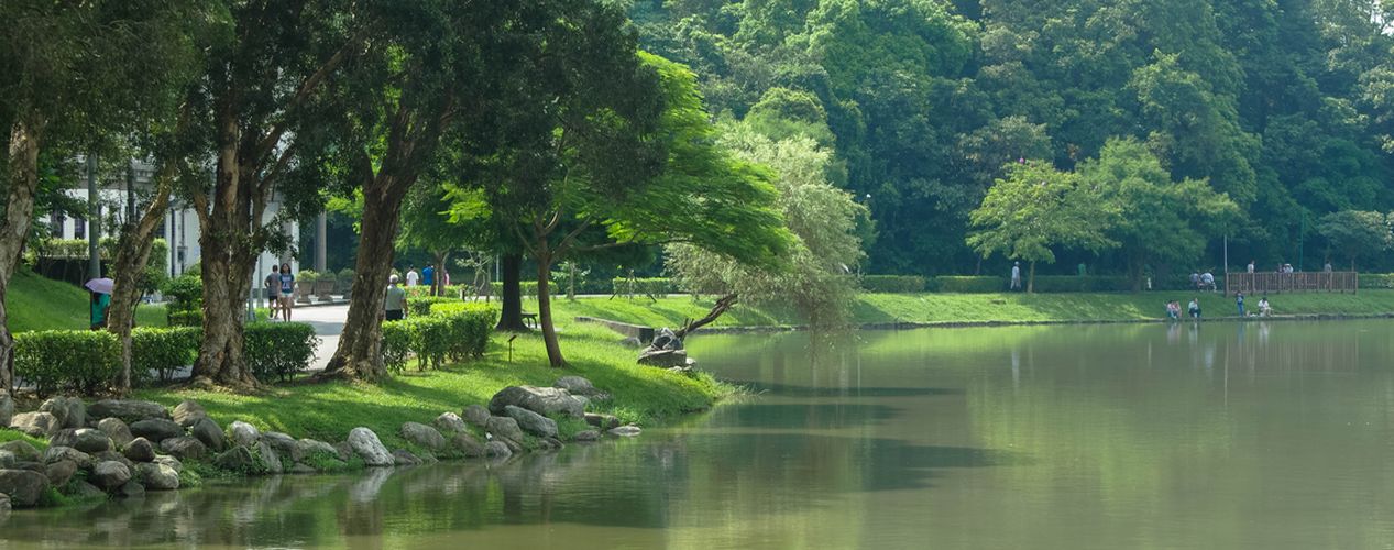 台北．水泥叢林的救贖｜綠色之美－台北五大公園