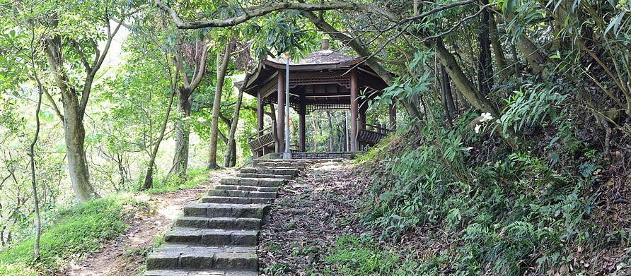 台北南港・麗山橋口親山步道｜擁有百年歷史的林間運貨小徑