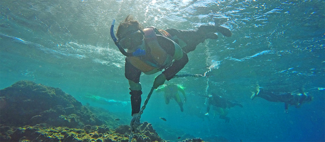 「綠島」的湛藍清澈：潛入能見度 50 米的海中，珊瑚礁與魚群作伴