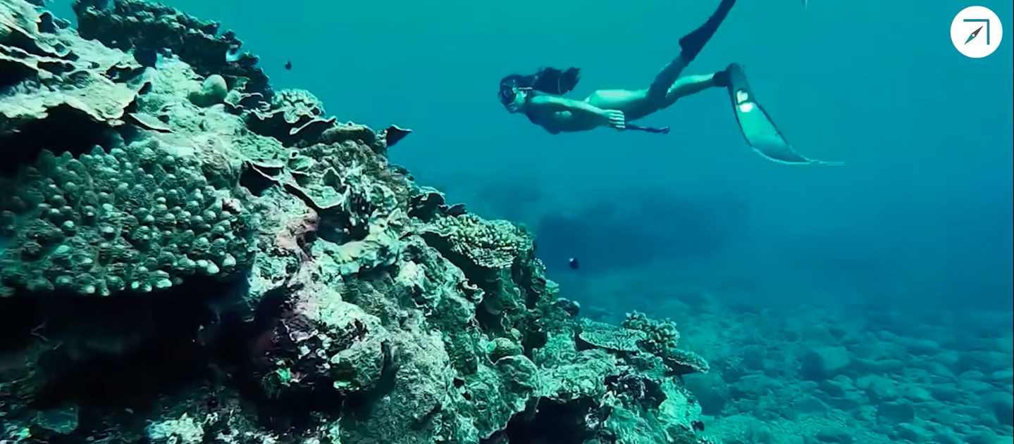 有一種藍，叫「蘭嶼」－－全台最美離島，來去自由潛水！（影片）