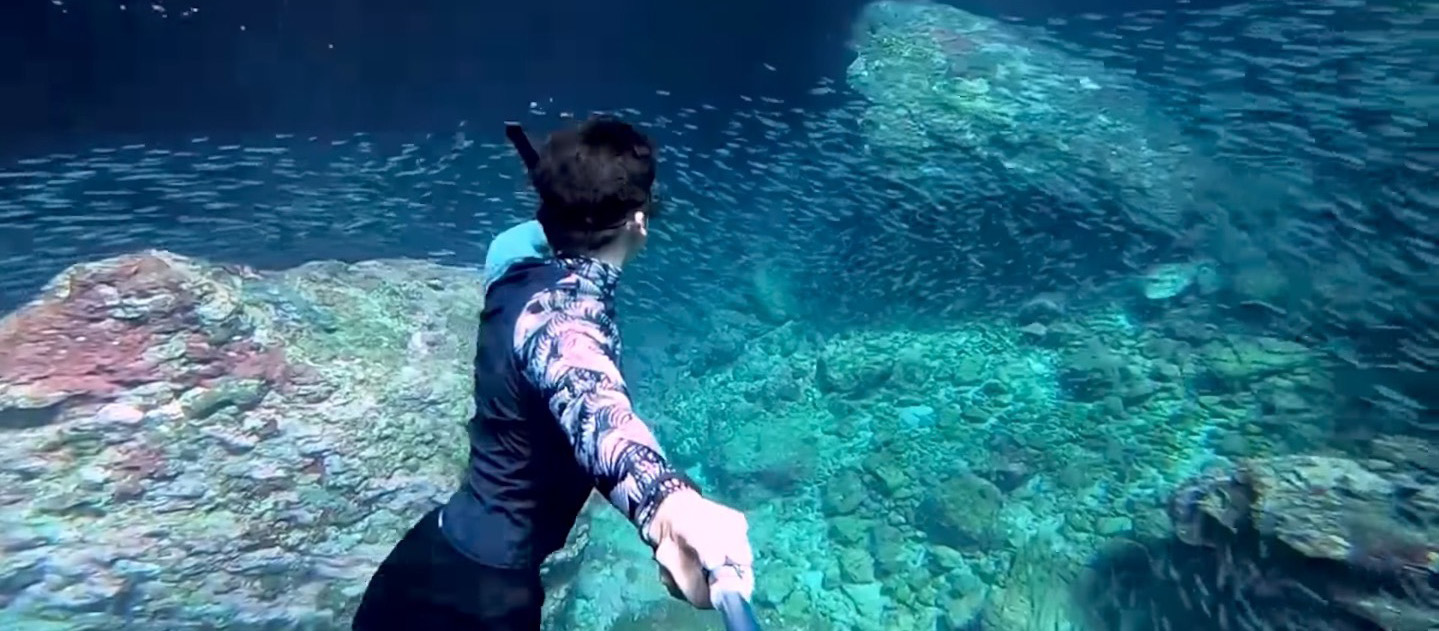 探訪綠島的海底秘境－－「藍洞」：潛水者的天堂！被魚群包圍的海中美景（影片）
