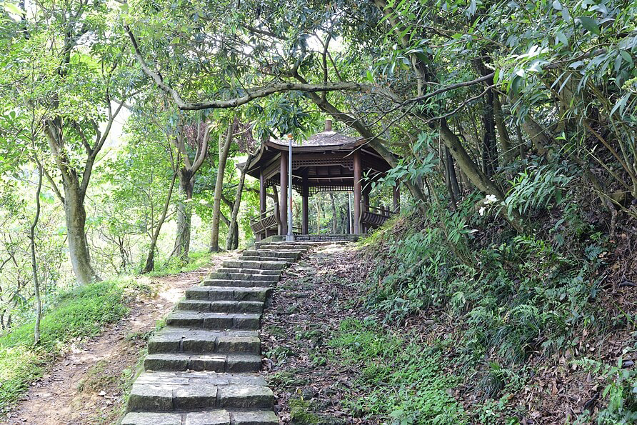 台北南港・麗山橋口親山步道｜擁有百年歷史的林間運貨小徑