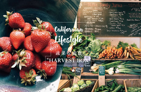 美國飲食文化｜社區食安，由在地小農的Harvest Box把關
