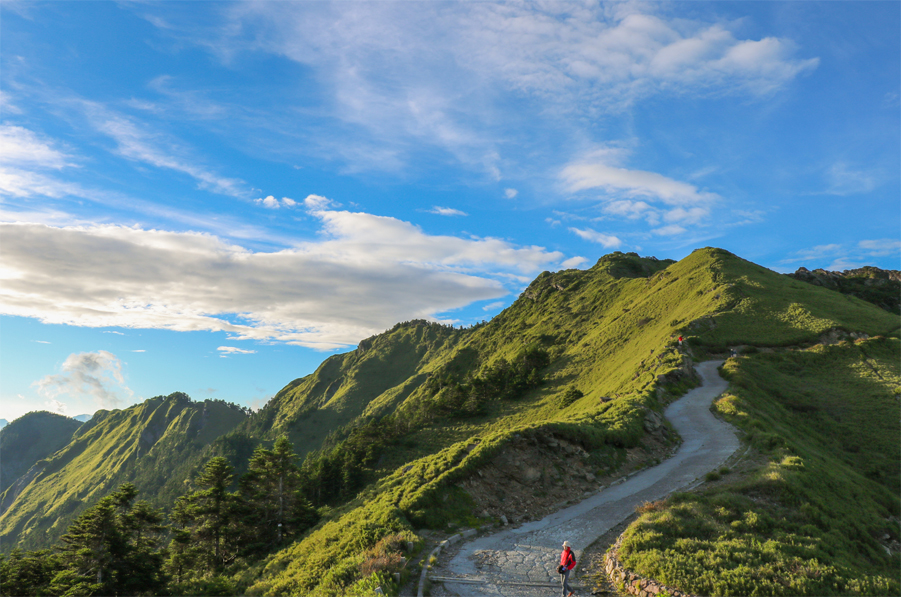 南投．合歡山｜站上台灣的百岳，欣賞最壯闊的高山風景
