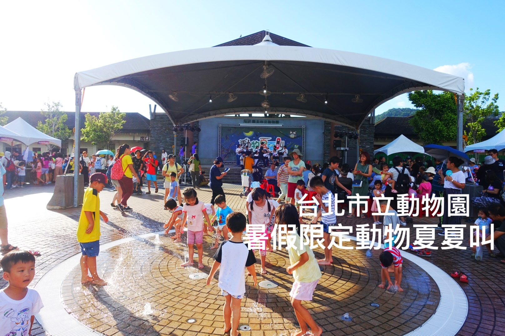 台北市立木柵動物園暑假限定「動物夏夏叫」，一年只有八天的夜訪木柵動物園
