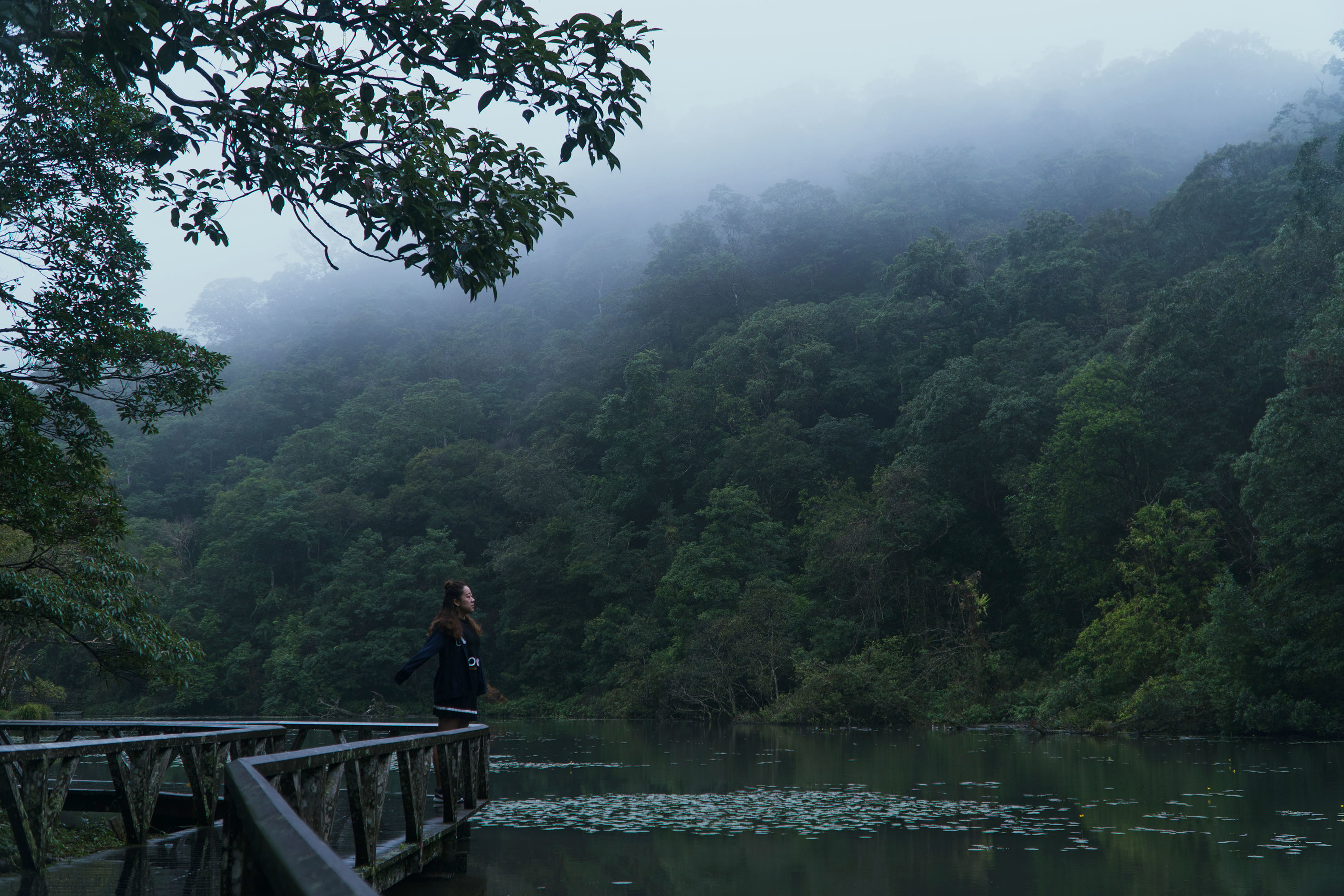 宜蘭員山｜「福山植物園」：野生動物的天堂，隱身在半山腰的動植物秘境