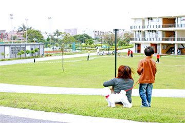 台東「東海運動公園」：太平溪與大草皮相倚的美麗活動場所，親子嬉遊、民眾運動絕佳選擇