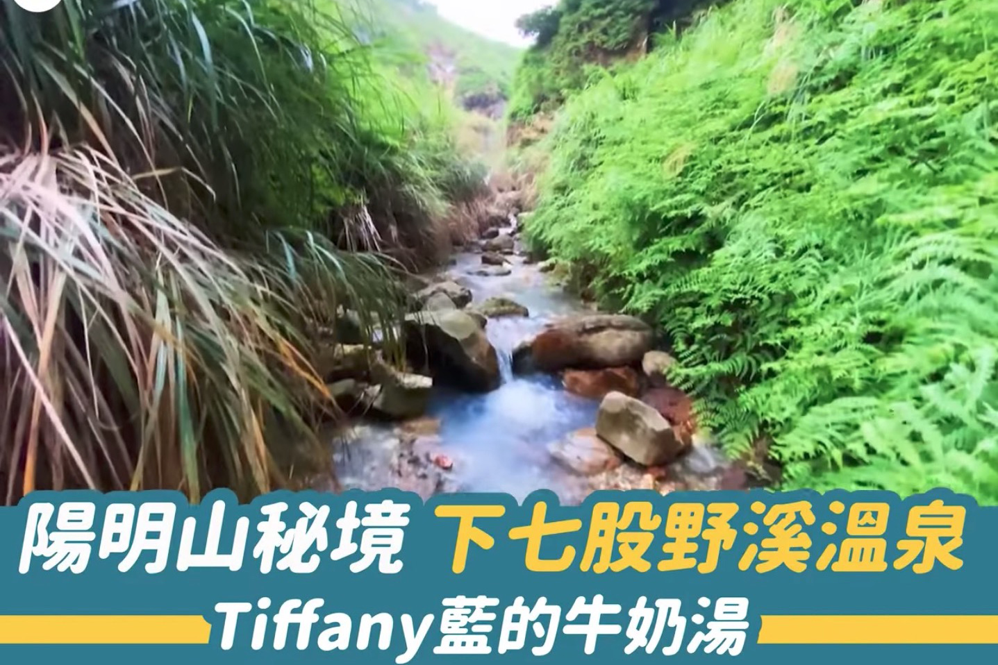 陽明山秘境「下七股野溪溫泉」－－Tiffany 藍的牛奶湯（影片）